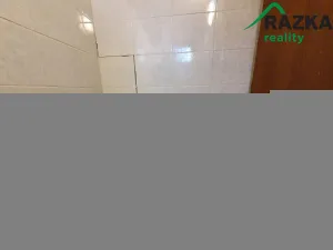 Prodej rodinného domu, Vyškov - Nosálovice, Pod Nemocnicí, 261 m2