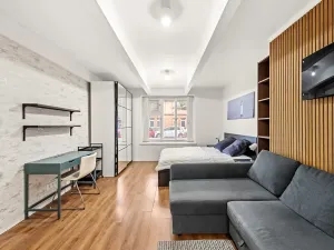 Pronájem bytu 1+1, Praha - Žižkov, Čajkovského, 36 m2