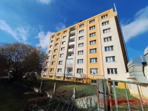 Pronájem bytu 3+1, Přeštice, Palackého, 71 m2