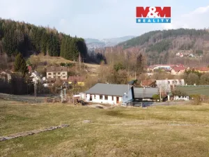 Prodej komerční nemovitosti, Plavy, 180 m2