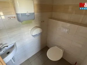 Prodej komerční nemovitosti, Plavy, 180 m2