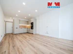 Prodej bytu 4+kk, Ostrava - Hrabůvka, Holasova, 78 m2