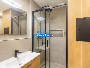 Prodej bytu 2+kk, Olomouc, Černá cesta, 39 m2