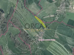 Prodej pozemku pro bydlení, Velké Chvojno, 31064 m2