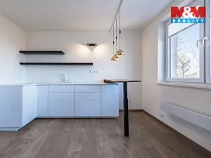 Prodej bytu 1+kk, Doubravčice, V bytovkách, 35 m2