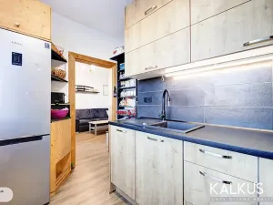 Prodej bytu 2+1, Hradec Králové, Pod Zámečkem, 60 m2