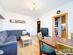 Prodej bytu 2+1, Hradec Králové, Pod Zámečkem, 60 m2