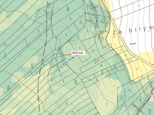 Dražba lesa, Netřebice, 295 m2