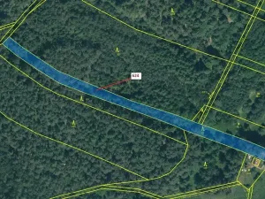 Dražba lesa, Jesenice, 2895 m2