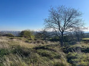 Pronájem bytu 2+kk, Praha - Smíchov, Na Neklance, 42 m2