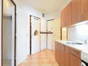 Pronájem bytu 1+kk, Praha - Nusle, Lounských, 48 m2