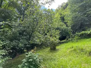 Pronájem zahrady, Křivoklát, 770 m2