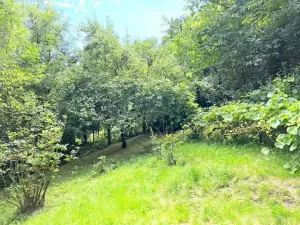 Pronájem zahrady, Křivoklát, 770 m2