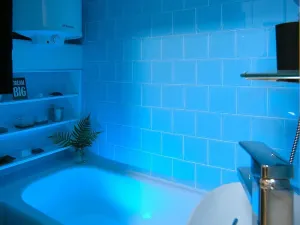 Pronájem bytu 2+kk, Ostrava, Myslbekova, 50 m2