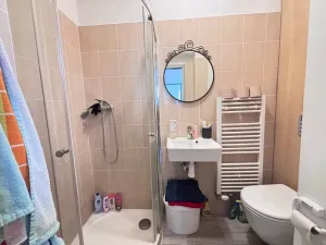 Pronájem bytu 1+1, Praha - Dejvice, Pod kaštany, 14 m2