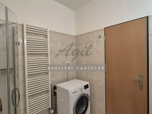 Pronájem bytu 1+kk, Brno, 50 m2