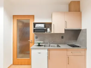 Pronájem bytu 1+kk, Praha - Michle, Hanusova, 32 m2