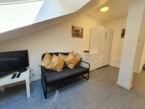 Pronájem bytu 1+kk, Plzeň - Vnitřní Město, Veleslavínova, 36 m2