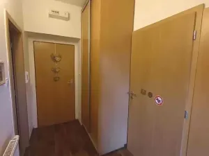 Prodej bytu 2+kk, Hrušovany u Brna, Vodní, 46 m2