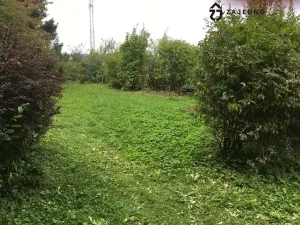 Prodej chaty, Česká, 27 m2