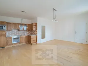 Pronájem bytu 2+kk, Praha - Krč, Pasteurova, 54 m2