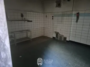 Prodej rodinného domu, Hať, 300 m2