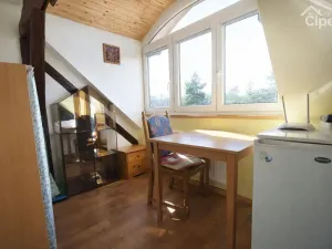 Pronájem bytu, Mirošovice, Karlín, 15 m2