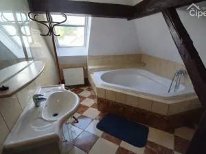 Pronájem bytu, Mirošovice, Karlín, 15 m2