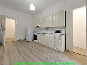 Pronájem bytu 2+kk, Praha - Žižkov, Hartigova, 43 m2
