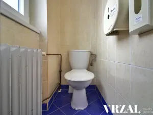 Pronájem ordinace, Plzeň, Francouzská třída, 63 m2