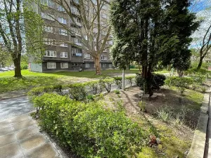 Pronájem bytu 1+kk, Ostrava - Hrabůvka, Krakovská, 21 m2