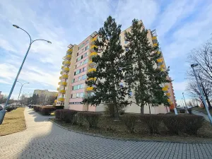 Prodej bytu 4+1, České Budějovice, Netolická, 85 m2