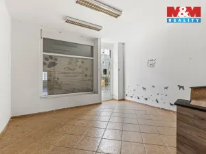 Prodej obchodního prostoru, Louny, Husova, 744 m2