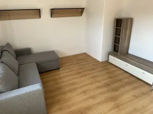 Pronájem bytu 1+1, Velké Hamry, 41 m2