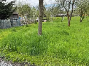 Dražba zahrady, Rymice, 1074 m2