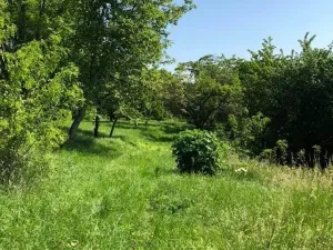Prodej zahrady, Dalovice, 5231 m2
