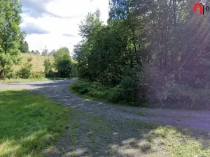 Prodej lesa, Zlatá Olešnice, 1248 m2