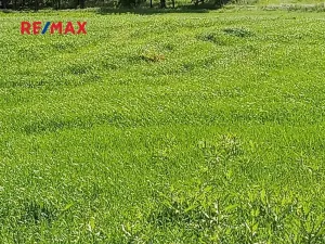 Prodej pole, Drnovice, 32235 m2