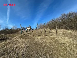 Prodej zahrady, Kobeřice u Brna, 1901 m2