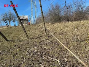 Prodej zahrady, Kobeřice u Brna, 1901 m2