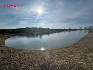 Prodej zahrady, Kobeřice u Brna, 1901 m2