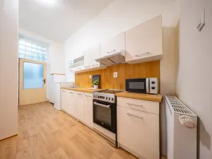 Pronájem bytu 2+kk, Brno, Svatopetrská, 42 m2