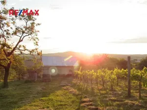 Prodej chaty, Kyjov, 20 m2