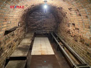 Prodej chaty, Moravany, 60 m2