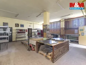 Prodej obchodního prostoru, Frýdek-Místek - Frýdek, Dobrovského, 1150 m2