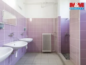 Prodej obchodního prostoru, Frýdek-Místek - Frýdek, Dobrovského, 1150 m2