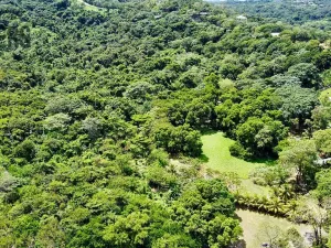 Prodej pozemku, Coxen Hole, Roatán, Honduras, 3265 m2