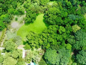 Prodej pozemku, Coxen Hole, Roatán, Honduras, 3265 m2