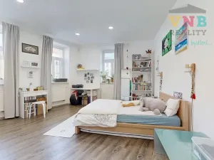 Prodej komerční nemovitosti, Prostějov, Sokolská, 205 m2