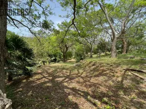 Prodej pozemku, Coxen Hole, Roatán, Honduras, 1821 m2